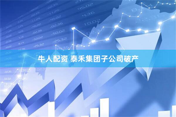 牛人配资 泰禾集团子公司破产